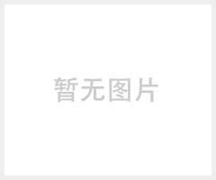 小型空气源臭氧发生器